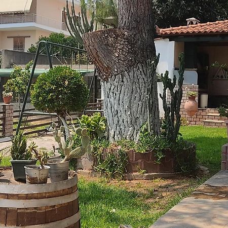 Apartamento Alice House 1 Amarinto Exterior foto